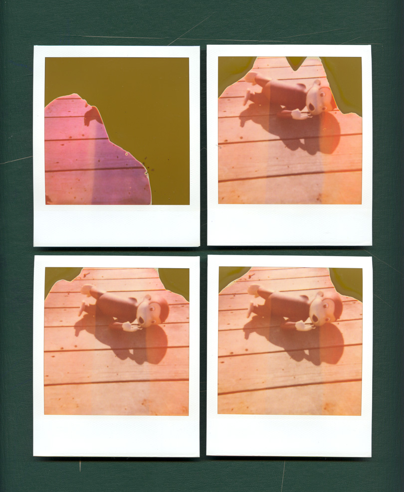 four polaroids with a monkey